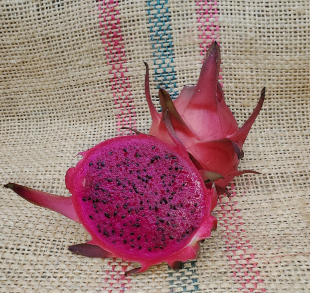 Pitaya Rouge 1kg